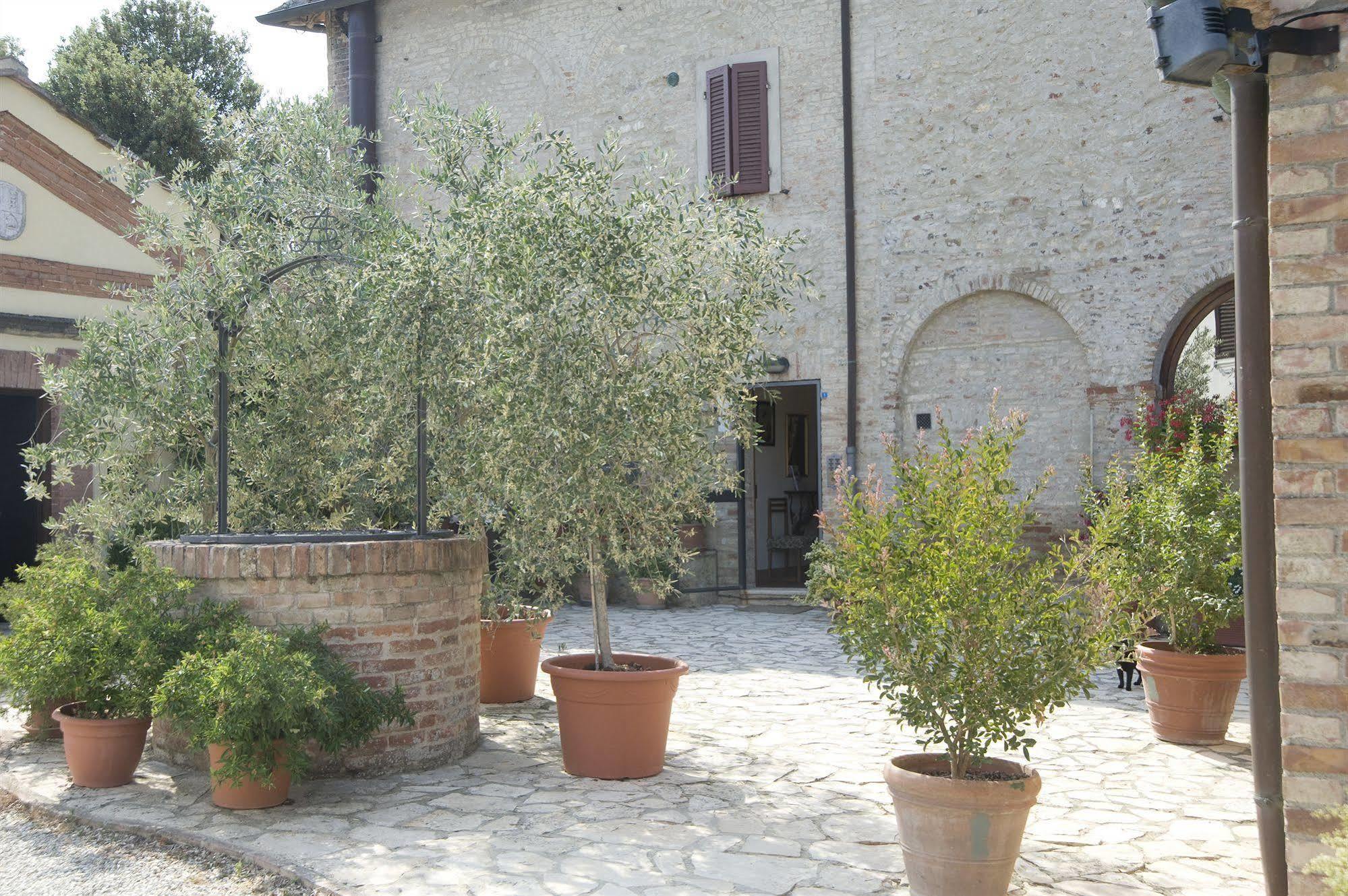 Il Pettirosso Di