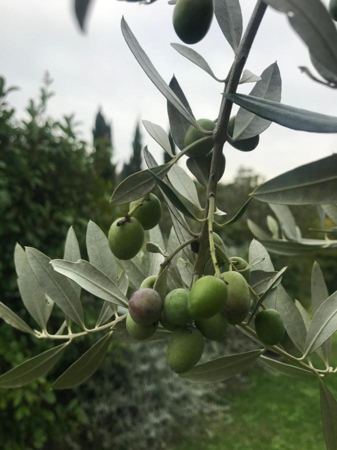 Il Pettirosso Di Séjour à la campagne *