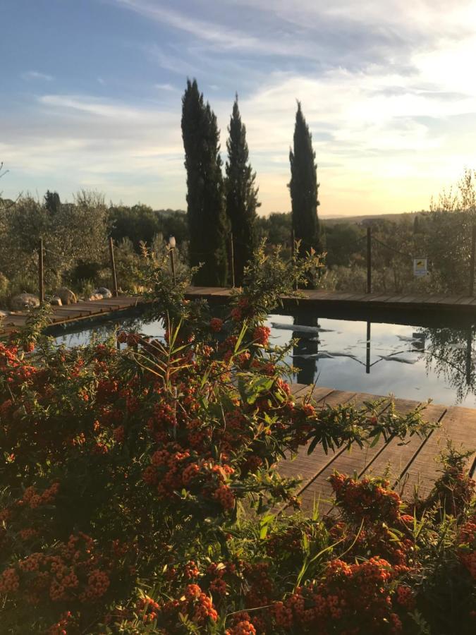 Il Pettirosso Di Séjour à la campagne Sienne