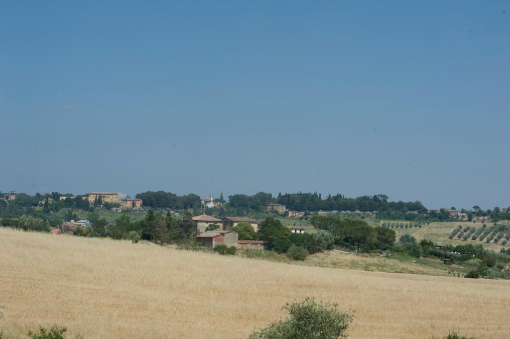 Il Pettirosso Di * Sienne